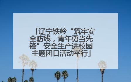 辽宁铁岭“筑牢安全防线，青年勇当先锋”安全生产进校园主题团日活动举行