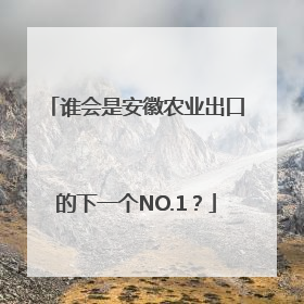 谁会是安徽农业出口的下一个NO.1？