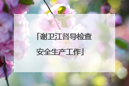 谢卫江督导检查安全生产工作