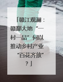 赣江观澜：赣鄱大地“一村一品”何以推动乡村产业“百花齐放”？