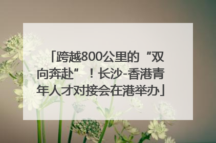 跨越800公里的“双向奔赴”！长沙-香港青年人才对接会在港举办