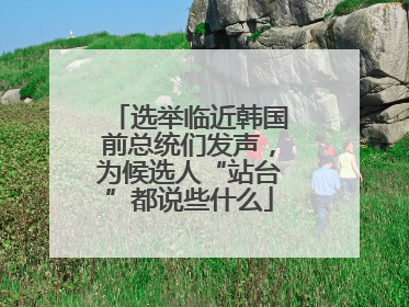 选举临近韩国前总统们发声，为候选人“站台”都说些什么