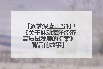 逐梦深蓝正当时！《关于推动海洋经济高质量发展的提案》背后的故事