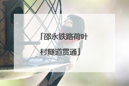 邵永铁路荷叶村隧道贯通