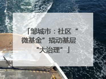 邹城市：社区“微基金”撬动基层“大治理”