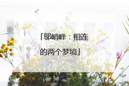 邬峭峰：相连的两个梦境