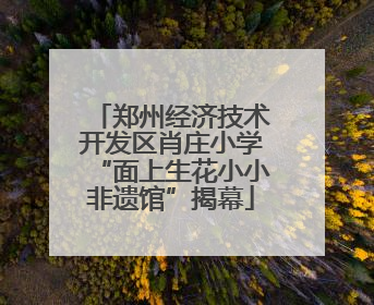 郑州经济技术开发区肖庄小学“面上生花小小非遗馆”揭幕