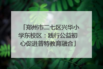 郑州市二七区兴华小学东校区：践行公益初心促进普特教育融合