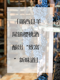 郧西县羊尾镇樱桃酒酿出“致富”新味道