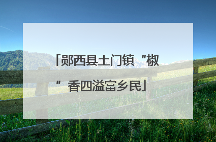 郧西县土门镇“椒”香四溢富乡民