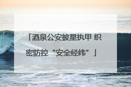 酒泉公安披星执甲 织密防控“安全经纬”