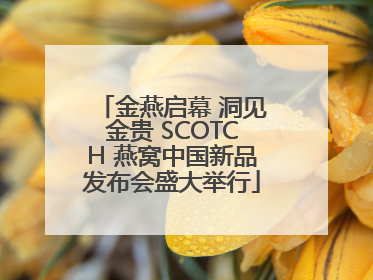 金燕启幕 洞见金贵 SCOTCH 燕窝中国新品发布会盛大举行