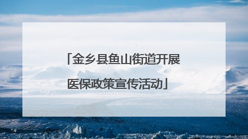 金乡县鱼山街道开展医保政策宣传活动