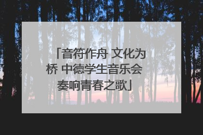 音符作舟 文化为桥 中德学生音乐会奏响青春之歌
