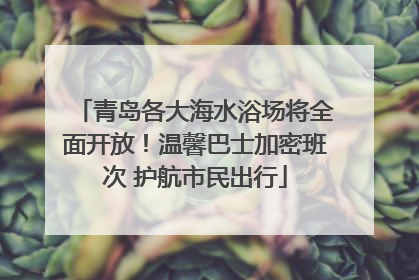 青岛各大海水浴场将全面开放！温馨巴士加密班次 护航市民出行