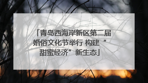 青岛西海岸新区第二届婚俗文化节举行 构建“甜蜜经济”新生态