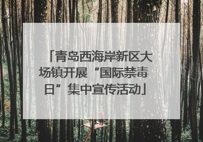 青岛西海岸新区大场镇开展“国际禁毒日”集中宣传活动
