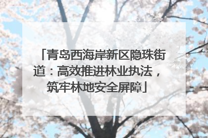 青岛西海岸新区隐珠街道：高效推进林业执法，筑牢林地安全屏障