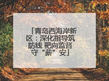 青岛西海岸新区：深化指导筑防线 靶向监督守“薪”安