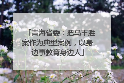 青海省委：把马丰胜案作为典型案例，以身边事教育身边人
