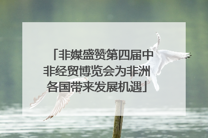 非媒盛赞第四届中非经贸博览会为非洲各国带来发展机遇