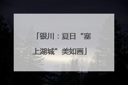 银川：夏日“塞上湖城”美如画