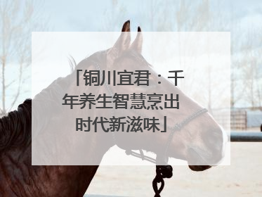 铜川宜君：千年养生智慧烹出时代新滋味