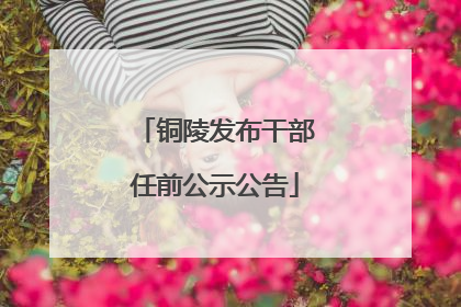 铜陵发布干部任前公示公告