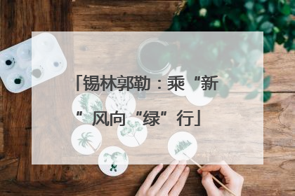 锡林郭勒：乘“新”风向“绿”行