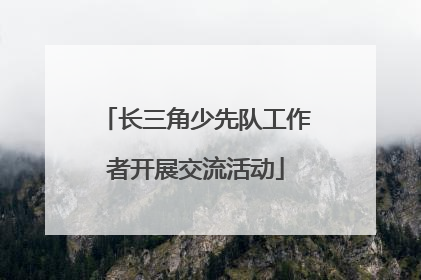 长三角少先队工作者开展交流活动