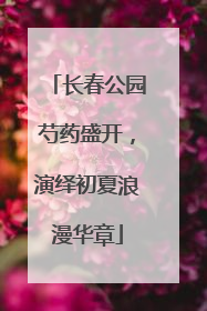 长春公园芍药盛开，演绎初夏浪漫华章