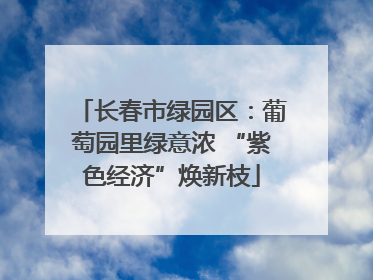 长春市绿园区：葡萄园里绿意浓 “紫色经济”焕新枝