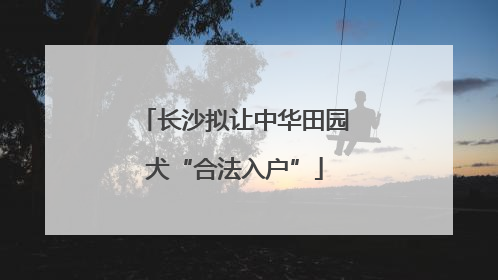 长沙拟让中华田园犬“合法入户”