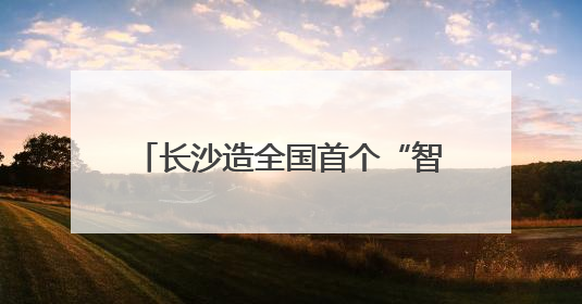 长沙造全国首个“智能押运机器人”亮相