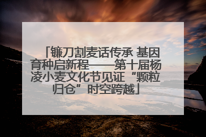 镰刀割麦话传承 基因育种启新程——第十届杨凌小麦文化节见证“颗粒归仓”时空跨越