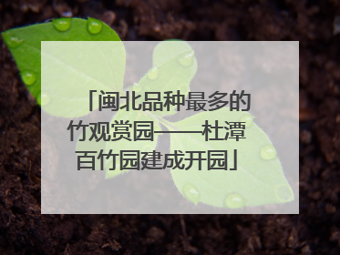 闽北品种最多的竹观赏园——杜潭百竹园建成开园