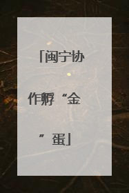 闽宁协作孵“金”蛋