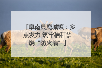 阜南县鹿城镇：多点发力 筑牢秸秆禁烧“防火墙”