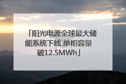 阳光电源全球最大储能系统下线 单柜容量破12.5MWh