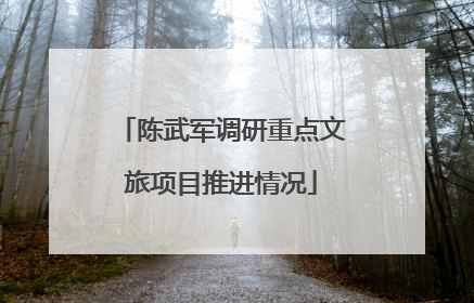 陈武军调研重点文旅项目推进情况