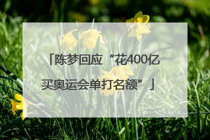 陈梦回应“花400亿买奥运会单打名额”
