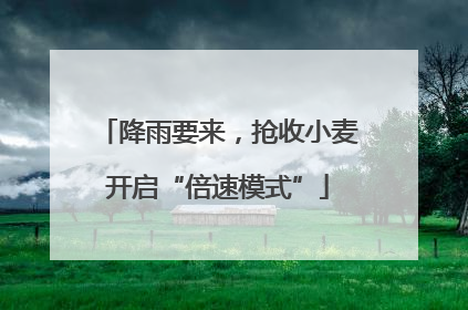 降雨要来，抢收小麦开启“倍速模式”