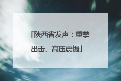 陕西省发声：重拳出击、高压震慑