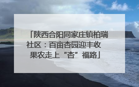陕西合阳同家庄镇柏瑞社区：百亩杏园迎丰收 果农走上“杏”福路