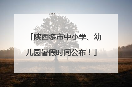 陕西多市中小学、幼儿园暑假时间公布！