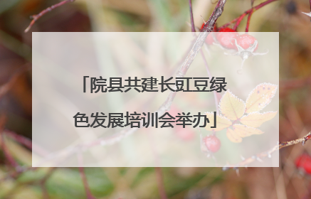 院县共建长豇豆绿色发展培训会举办