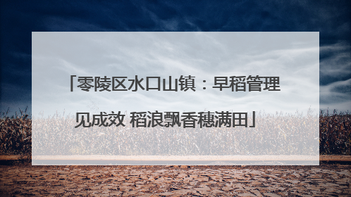 零陵区水口山镇：早稻管理见成效 稻浪飘香穗满田