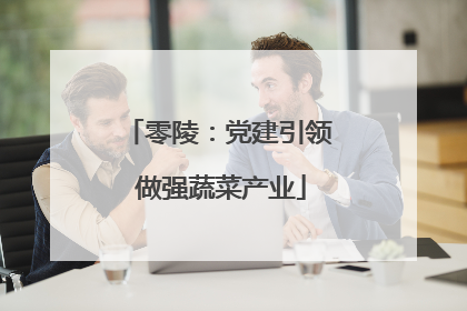 零陵：党建引领 做强蔬菜产业