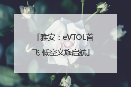 雅安：eVTOL首飞 低空文旅启航