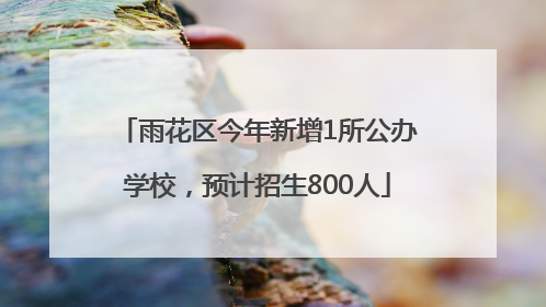雨花区今年新增1所公办学校，预计招生800人